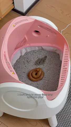 Finally something affordable that actually works🥰🥰.#petpivot #autoscooper11 #litterbox #cat #cats #halloween #fallsale 