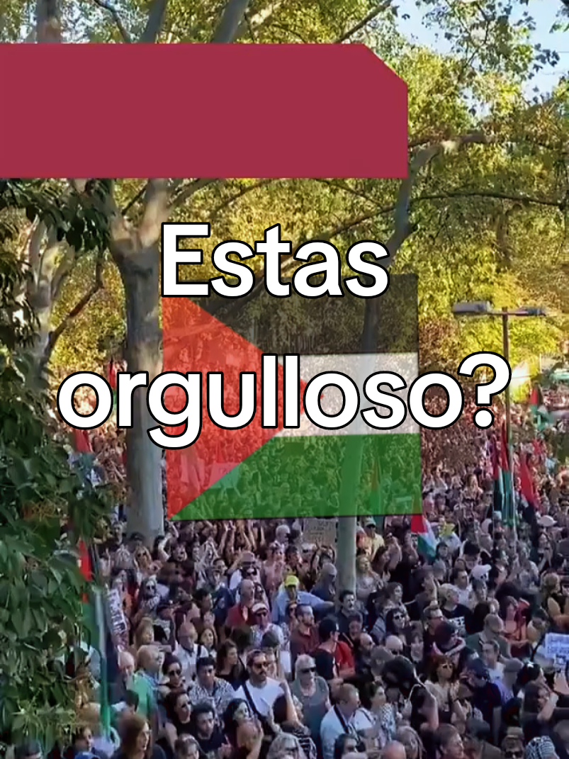 Apoyo total a  lo de fuera,  que no cambia  nada,  NULO APOYO, a lo nuestro  a España  a lo que sí puede cambiar...#psoe #españa #vox #palestine #israel 