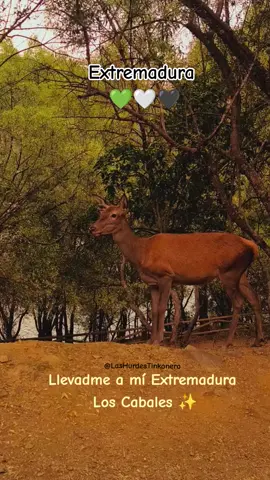 Extremadura 💚🤍🖤 #montaña #paisajes #extremadura #😍😍😍😍😍😘😘😘😘😘 