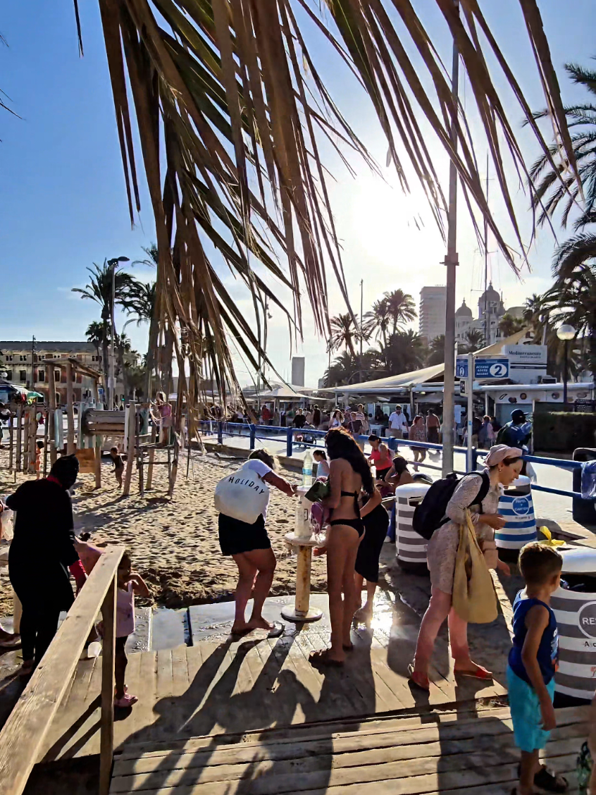Alicante🌴⛱️🌞🌊🌴 #costablanca #alicante #palmtrees ##spania #spain #espana #sun #sea #🌞 #🌴 #alicantecity #f #fyp 