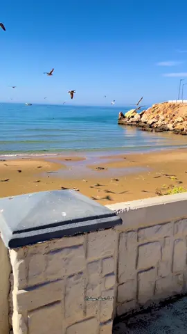 ✌️ بني صاف ✌️ 💕ولاية عين تموشنت💕 #tiktoklongs #fyp #viral #tiktok #شعب_الصيني_ماله_حل😂😂 