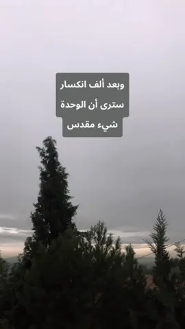#في هذا اليوم 