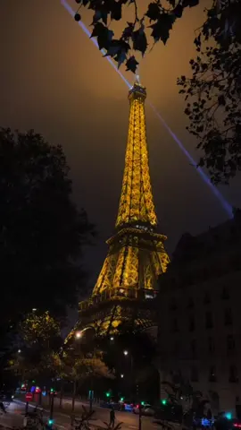 #creatorsearchinsights #عشاق_الغربة_اين_انتم🇫🇷📍 #🇪🇺 #fyp 