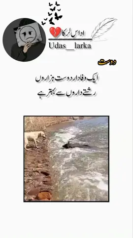 One loyal friend is better than a thousand relatives. 🥺✔️#viral #foryou #100kveiws #fryoupage #udas_larka🥀🖤 