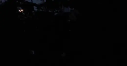 Mưa đợi chờ #nhachaymoingay #tamtrang#capcutpioneer #pioneertemplate