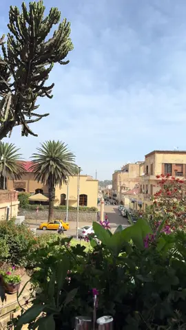 Gual Asmara Xaeda 🤍. Instagram: misseleanorxx                                  #asmara#eritrea#eritreantiktok🇪🇷🇪🇷habesha#asmaratiktok#eritrean#habeshatiktok