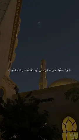 القارى ماهر المعيقلي 🖤✨#quran #fyp #قران #sb3zaid0 