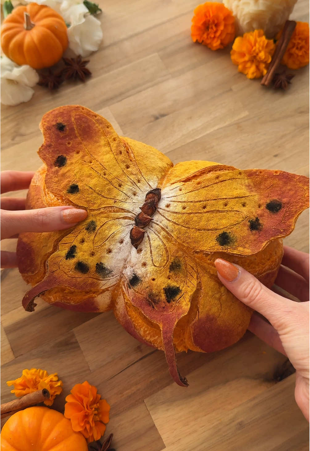If fall were a sourdough butterfly, I imagine she’d look something like this 🧡♥️🤎🖤 I made her complete with a star anise body and vibrant colors including turmeric! I can’t believe it took me this long to try turmeric directly for a natural orange. I didn’t want to overpower the flavor of my bread, but since it’s just on the surface, it didn’t at all. I’ll definitely be incorporating it more and more! The natural dyes used for this loaf include turmeric, black cocoa powder, red yeast rice powder, red and yellow @Watkins plant-based colors mixed with Thai rice flour, and @gosupernatural orange for the inside. Links to all my favorite natural dyes can be found in my Amazon Storefront (in my bio/ linktree) 🥰🫶🏼✨ #breadart #fallbutterfly #sourdoughbutterfly #tigermoth