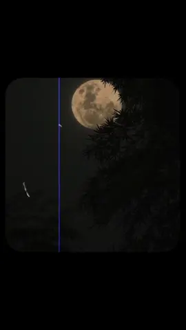 𝙏𝙚𝙧𝙖 𝙫 𝙙𝙞𝙡 𝙩𝙤𝙩𝙮𝙖 𝙟𝙖𝙙𝙤💔🐣REPOST REQUEST #aesthetic #vibes #viralvideo #vibessad #goviral 