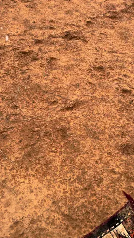 الله يعودها علينا بخير 🌧️#fyp #viral #tiktok #اكسبلورexplore #الشتاء 