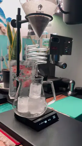 @محمصة أسانتي | Asante Roastery #محمد_عبده 