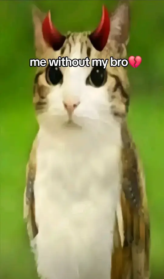 #bro #fyp #viral #imanewsoul 