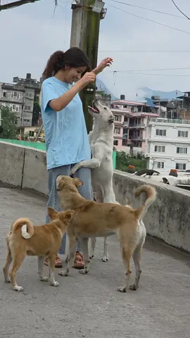 Happiness is a Bowl of Food and a Wagging Tail 🐾😊