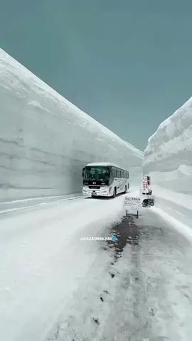 20 Метр Қар 😍 #тiркелемiз✅ #лайк♥️ #коментарий💬 #рекомендаций🔁 #рек💥 