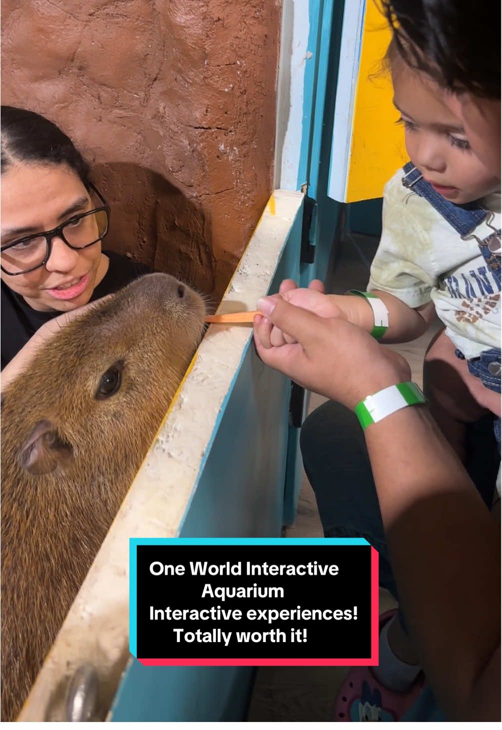 We loved going to one world, interactive aquarium, and and interacting with all the animals there! It’s totally worth it! #interactive #aquarium #lasvegas #vegas #familyfriendly 