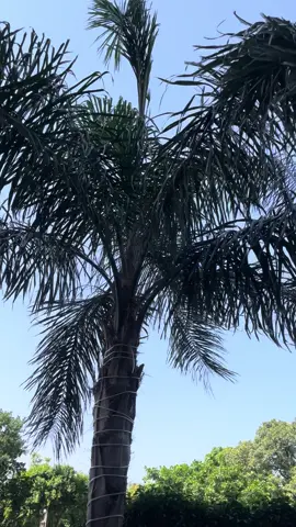 انسان  کس حال میں ہے!🥹یہ اللّٰہ تعالیٰ سے بہتر کوئی نہیں جانتا!❤️🔗💯 #repost #islamic_video #support_me #asthetic #foryou #viralvideo 