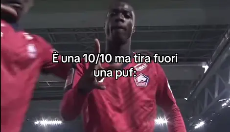 Non ci sta..#pepe#celebrations#viral #perte #foryou