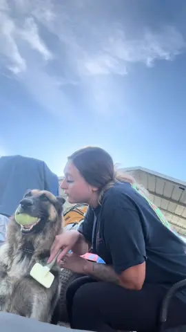 It’s not fair!! ❤️ I’ll love you forever Draco! #myboy #dogsoftiktok #germanshepherd 