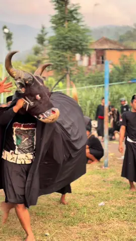 #bantengnuswantara #republikbanteng 