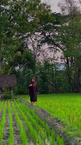 Weono judul sing masuk kang 