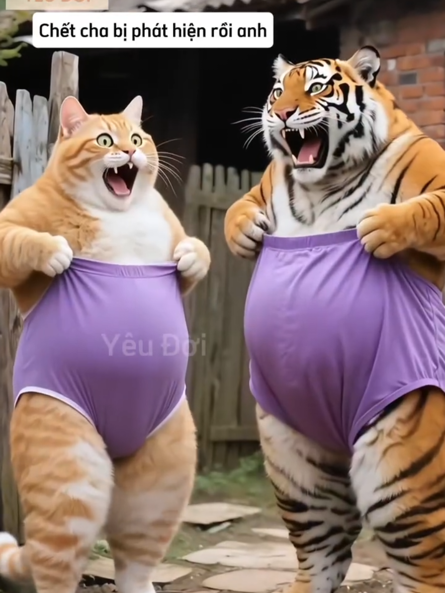 Này thì ham hố 🤣 #meocam #giaitri #hai #yeudoi 