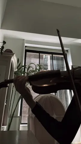 Where Have You Been - Rihanna @Rihanna #wherehaveyoubeen #wherehaveyoubeencover #violincover #covers #violin 