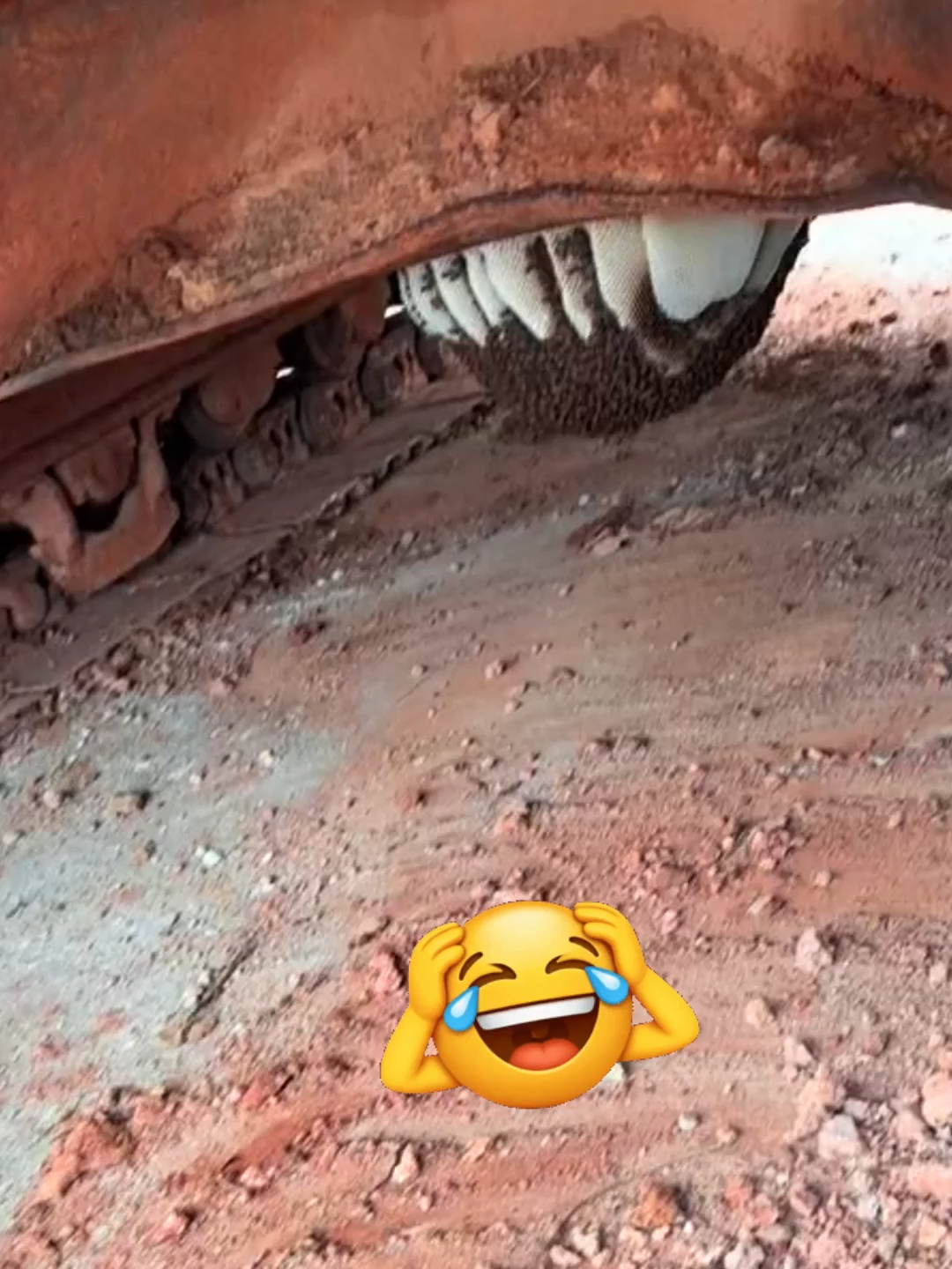 #excavator #funny #xuhuong