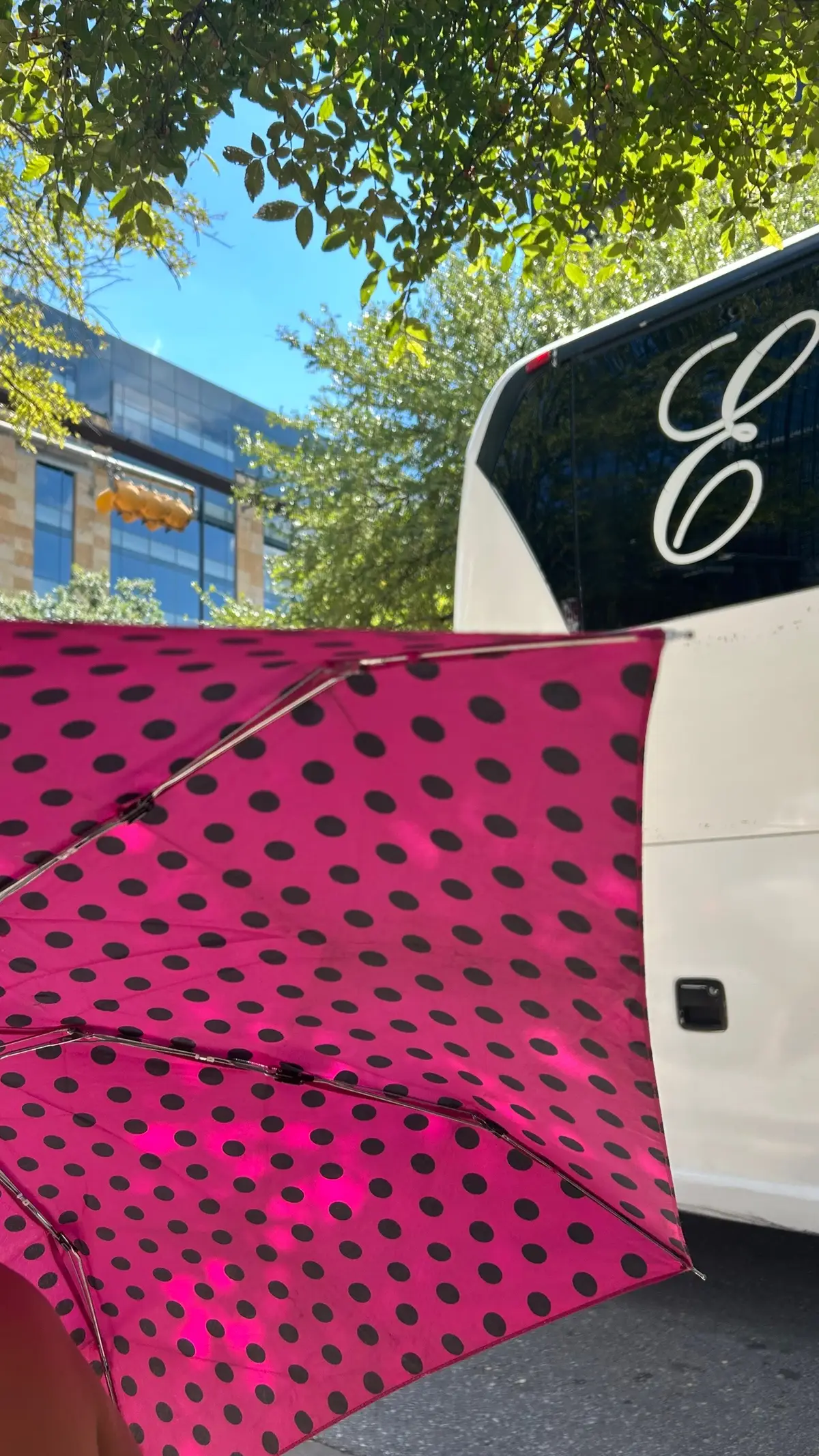 now excuse me while i disappear again 