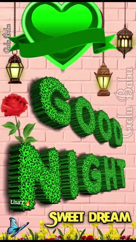 #good night beat wishes for everyone #🥀💕💦☂️#پا گل لڑکی #