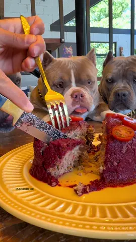 Bolinho de Carne 🤩🐾 Alimentação Natural para Cães 🐾