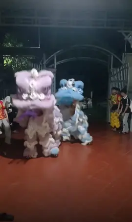 jet nào cũng choi #sturdydance #lansurong #xuhuong #fly 