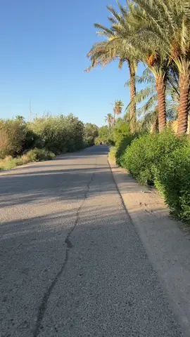 قضاء غماس منطقة النخيل 