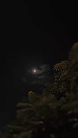 #قمر_العشق 🤎🤎