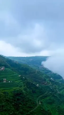 #CapCut #اب_المدينة_التي_لاتشبه_الا_نفسها  . . #تصميم_فيديوهات🎶🎤🎬  #مالي_خلق_احط_هاشتاقات  #اليمن_السعوديه🇾🇪🇸🇦   