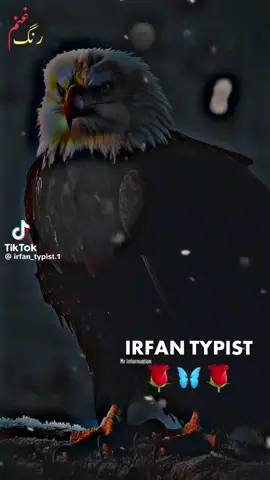 🥷🇵🇰🇵🇰🇹🇷🇹🇷🧱🧱🔨