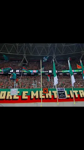 #mouloudia_virage_sud🇮🇹🙏  #mouloudia_1921❤💚 #foryoupage #viral #fyp 