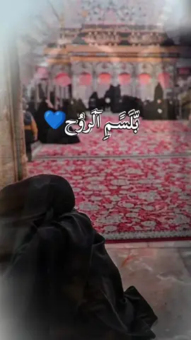 #اللهم_صل_على_محمد_وآل_محمد #اريدك_تشتريني  #السيد_احمد_العلوي  سيدي خليني يمك انا من دونك أضيع😔 .....(وجودي في حرمك نعمة وراحة ياسيدي لا أجدها في ضوضاء هذه الدنيا الفانيه) 🥺 ياابا عبد الله ياحبيبي ياحسين #fyp #viral 