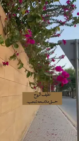 #صحاك_الشوق #فضل_شاكر #موسيقى #زهر#خواطر 