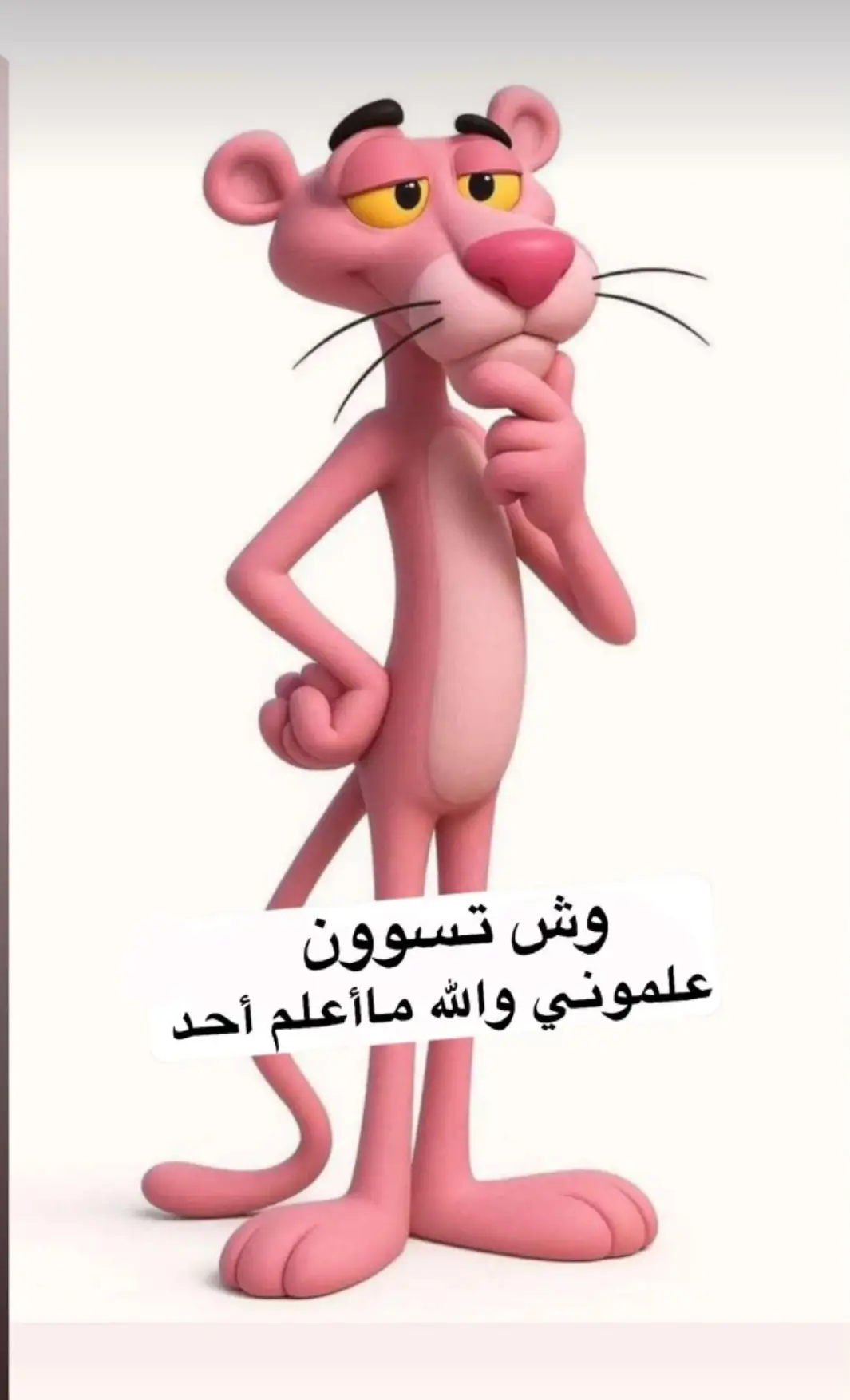 #يسعدلي🇸🇦🇸🇦🇸🇦🇸🇦🇸🇦🇸🇦🇸🇦🇸🇦🇸🇦__اوقاتڪۘم_حبايبي♥️🕊🙋‍♀️ 