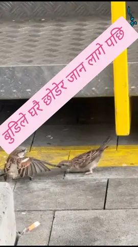 घरकी की बाहिरकी?#storytime #Love #tranding #news #looks eeerrrooorrr