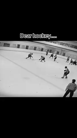 The wonders of mens league hockey #hockey #mensleague #washedupathlete #washedup #hockeyfail 