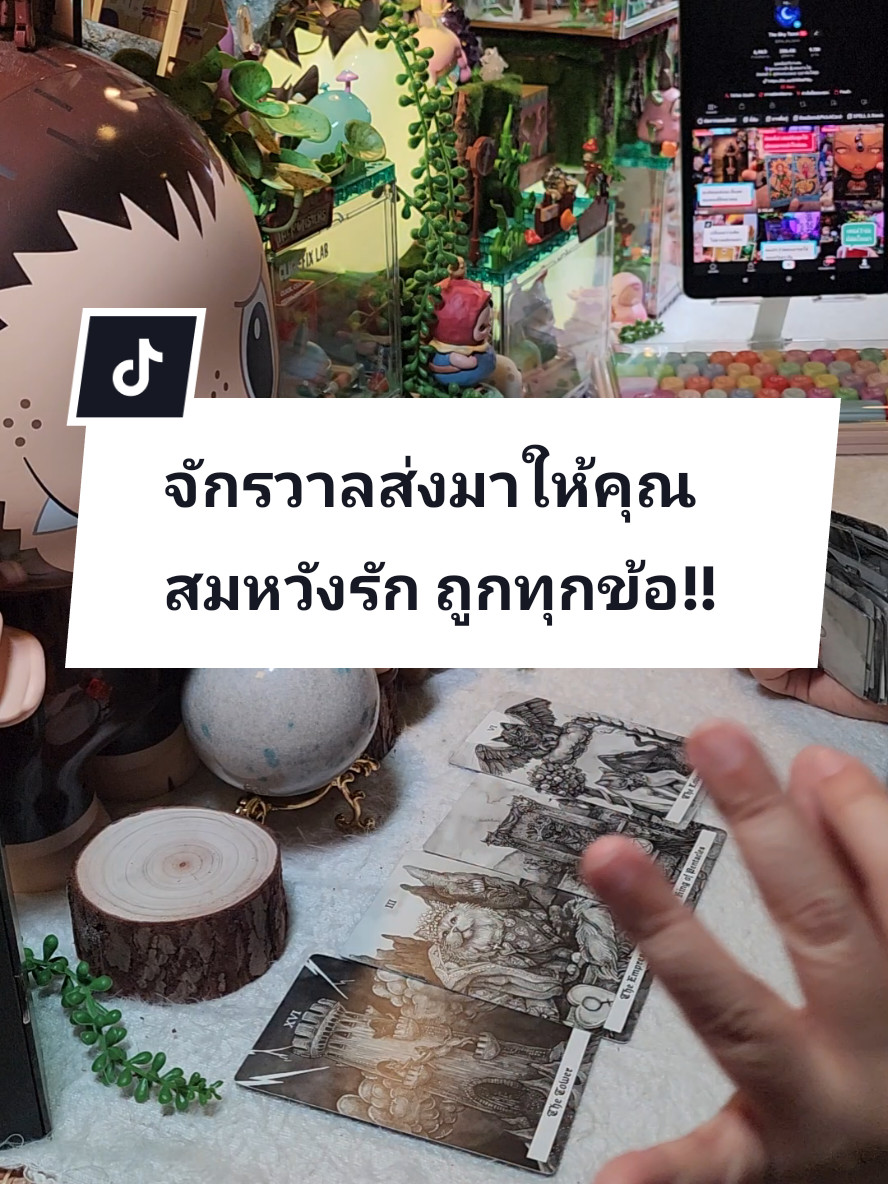 #โสด #สายมู #ดูดวง #ความรัก #แม่หมอปลั๊กกี้ 