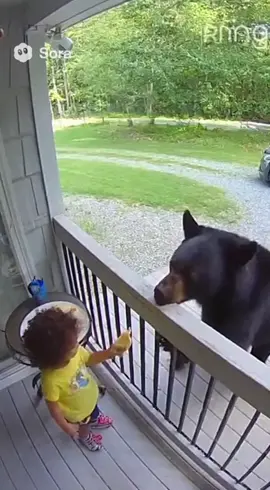 BREAKING: Kid feeds adult bear and almost gets hurt 