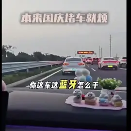 堵车本来就烦，现在更烦了#🔥 #女朋友 #fyp 