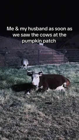 We are anima type of people 🤪😂 #fyp #viral #cow #trending #funny 