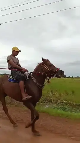 #မင်းလည်းမင်းလမ်းမင်းရှောက်  ငါလဲငါ့လမ်းငါရှောက်မယ်#ဒီတစ်ပုဒ်တော့fypပေါ်ရောက်ချင်တယ် 😂#မရောက်လဲနေတော့😒😒 #မြင်းဝါသနာရှင်အပေါင်းအားလေးစားလျှက် 🙏
