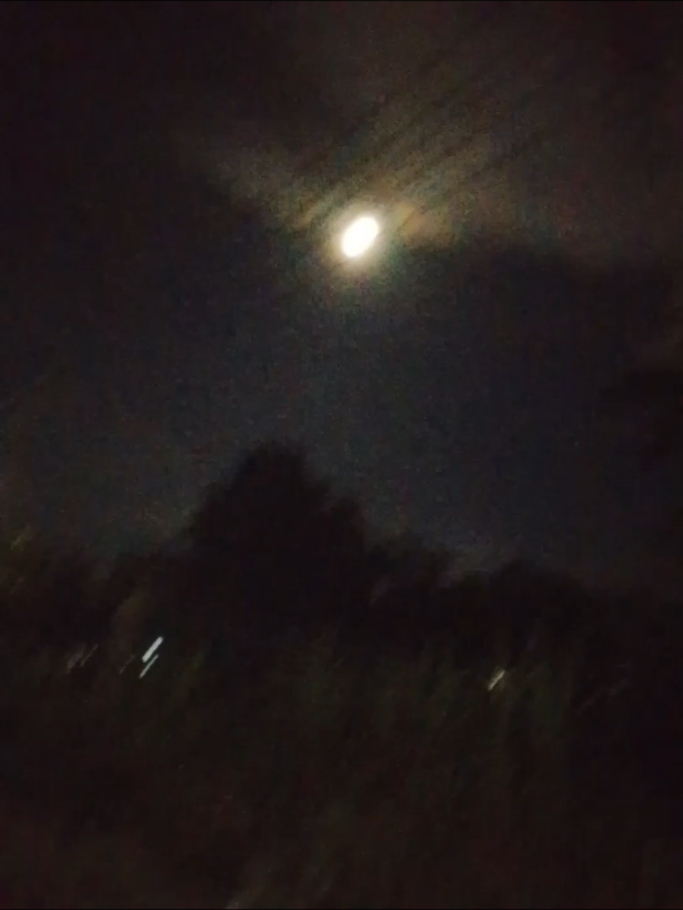 #နိုးကပ်ပရှင်ပါ😞👋🏻 #goodnight🥺💕#🤷🏻‍♀️ #fypシ゚viral🖤tiktok 