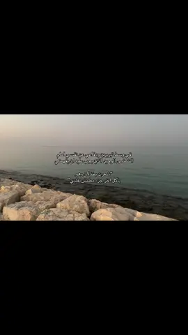 #اكسبلور #الشعب_الصيني_ماله_حل😂😂 #مالي_خلق_احط_هاشتاقات#الخبر 