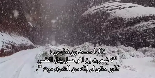 #بدون_هشتاق #fyp 
