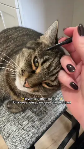 Like mother like daughter (cat version) #catsoftiktok #catmom #cutecat #grwmmakeup 